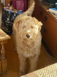 47923aef159f51a1de88ddb908e29611