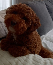 664545401_1358124669676646_5644432798819146809_n