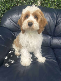 566469230_1781122352519319_4333028955110602064_n (1)