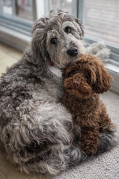 609053549_871654185276972_4721633473500825713_n