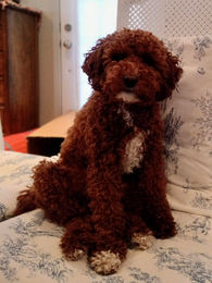 664379257_919108144334487_7324715087229887631_n