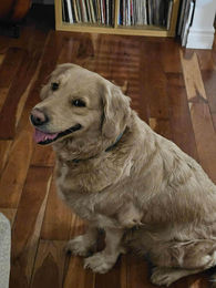 660308071_2183874829108695_5003829559019400450_n