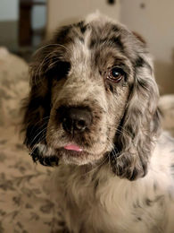 639145590_2020936601800802_1425147314028046031_n