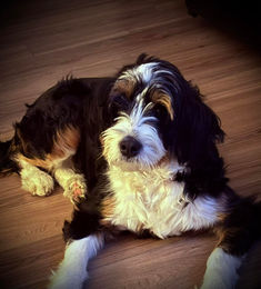 650750714_1447928877009703_624414868778613953_n