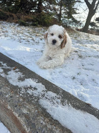 591912542_33868961626027999_805333244674448031_n