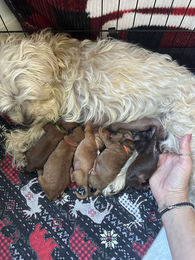 553966151_781756684652796_2959462742467571043_n (1)