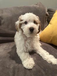 597243434_1815551525751554_7274491603004712135_n