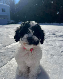 636725902_946671224523905_4712553501383412286_n