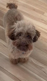 605544120_884681954060526_6260436895356684945_n