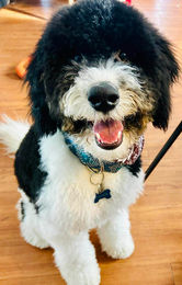 644552507_1431399401185597_3824203099648247821_n