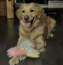 541257808_1428958708172438_136232224047491789_n