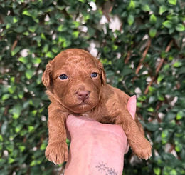 663325490_1261211785552188_7423350365247119959_n