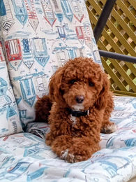 666544656_1694605878628724_8453911364400249755_n