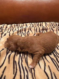 653922432_1637092997194785_4830676544382965258_n