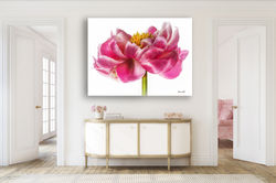 PEONY: PINK & GOLD