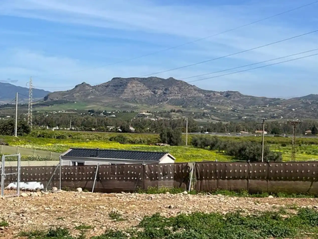 Intervención de la Junta de Andalucía contra viviendas prefabricadas ilegales en Cártama (Málaga)