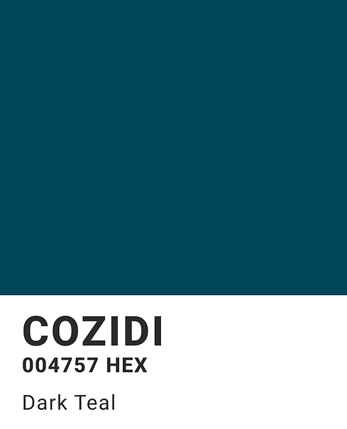 cozidi logo - colour.png