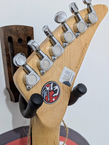 2010 Aria Goal Rush World Cup | Gaijin Guitars