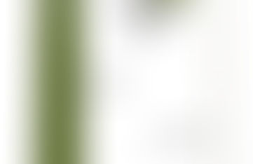 Просветното дело и „културната революция“ в модернизационната политика на БКП спрямо туркините