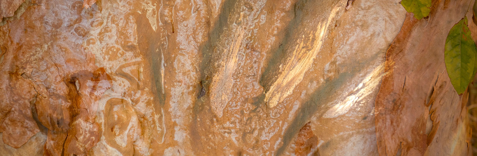 DSCF6959.jpg