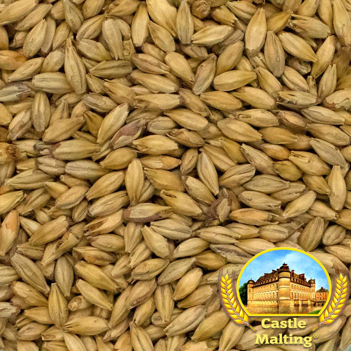 Château Munich Light®