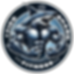 logo para youtube 150pixeles.png