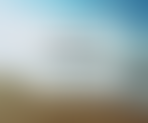 Monday, June 29th, 2020