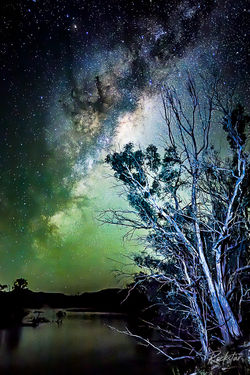 Magic Over the Murray