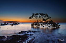 Between Earth and Sea