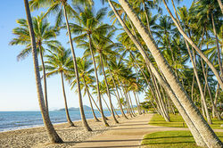 Palm Beach