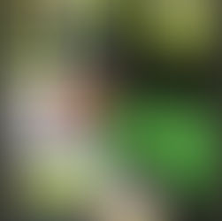 Why consistent digital experience is the foundation of credibility and growth