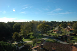 Lucmau (6)