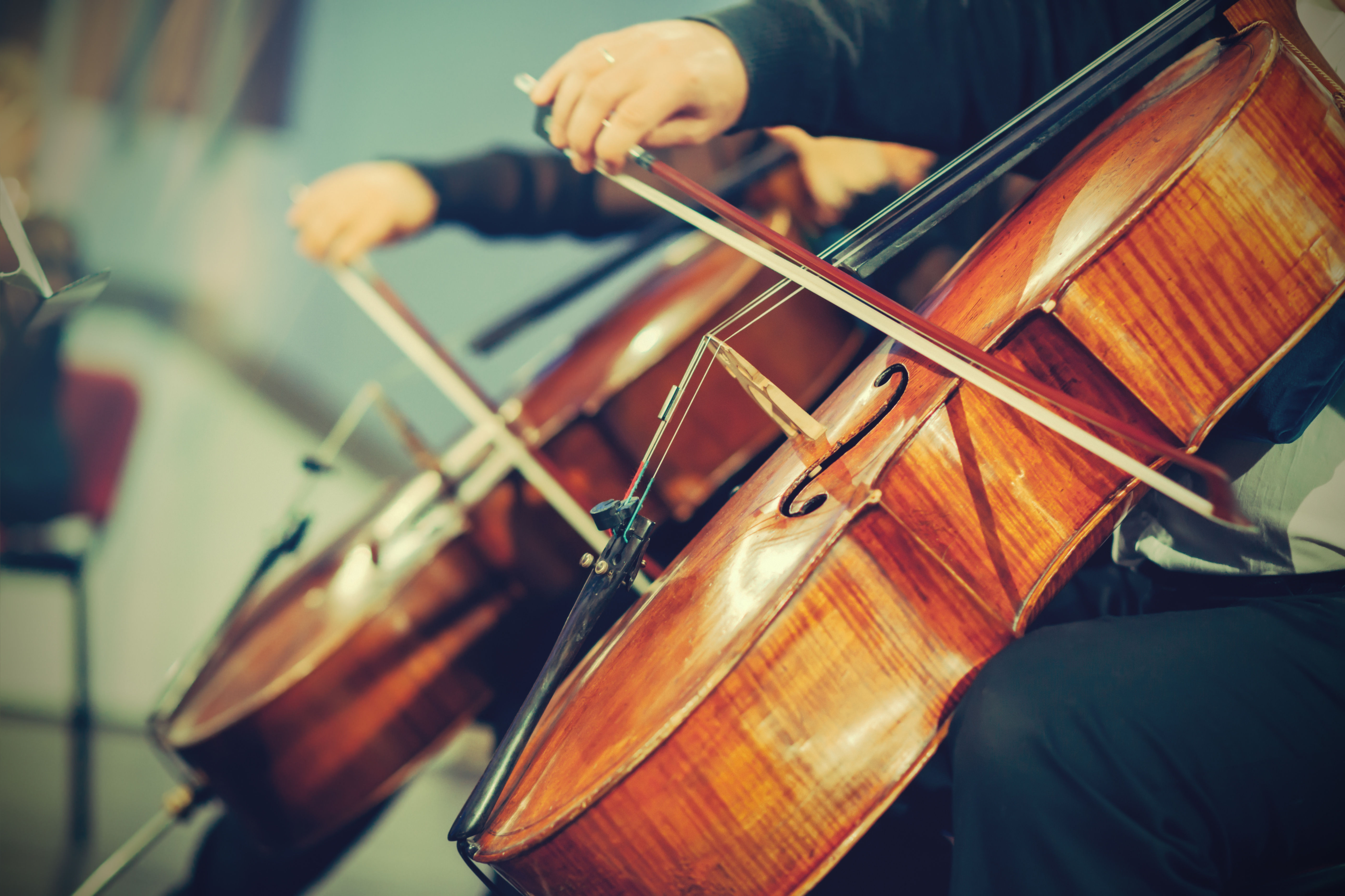 STRING ENSEMBLE 10 x 1 hour lessons
