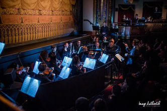 Tutta Musica Orchestra at the Nutcracker