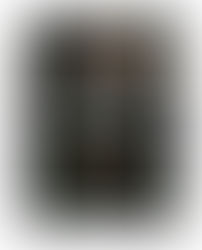 Top 10 Moustaches of All Time.