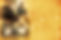 Accelerate.jpg