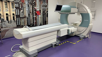 White logo - no background.webp