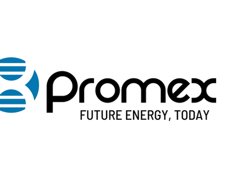 PROMEX: THE PROMISE OF EXISTENCE