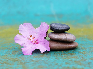 image zen de galets et de fleurs