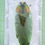 Miniature : Steraspis sp. (vert) : Tanzanie