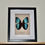 Miniature : Morpho achilles : encadrement avec un vrai papillon.