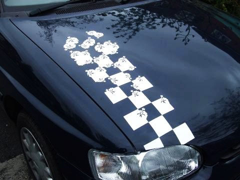 Thumbnail: 2 Franjas con hibiscos