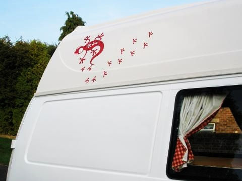 Thumbnail: Huellas de lagarto