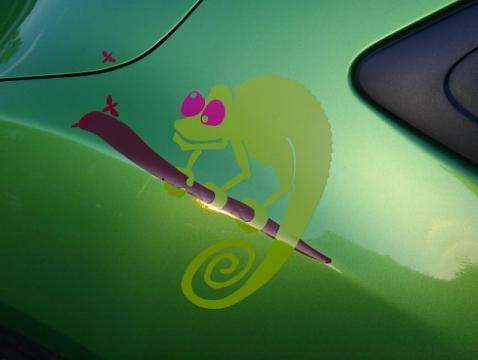 Thumbnail: Cameleón