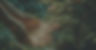 EnergyHealing-Banner.jpg