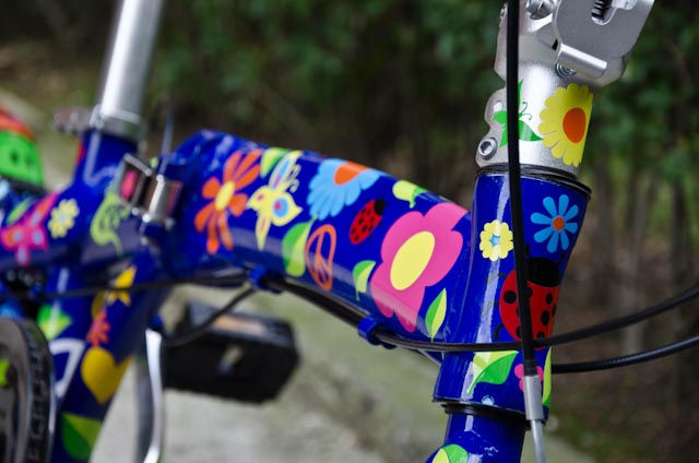 Thumbnail: Lote para bici Fantasía