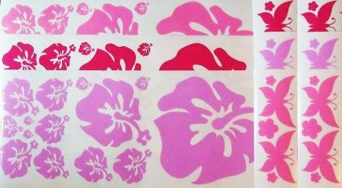 Miniatura: Lote con hibiscus y mariposas 10 folios