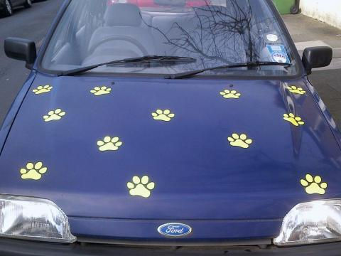 Thumbnail: Huellas gato, perro