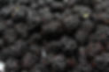 Blackberries.jpg