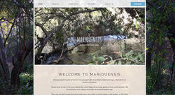Mariquensis